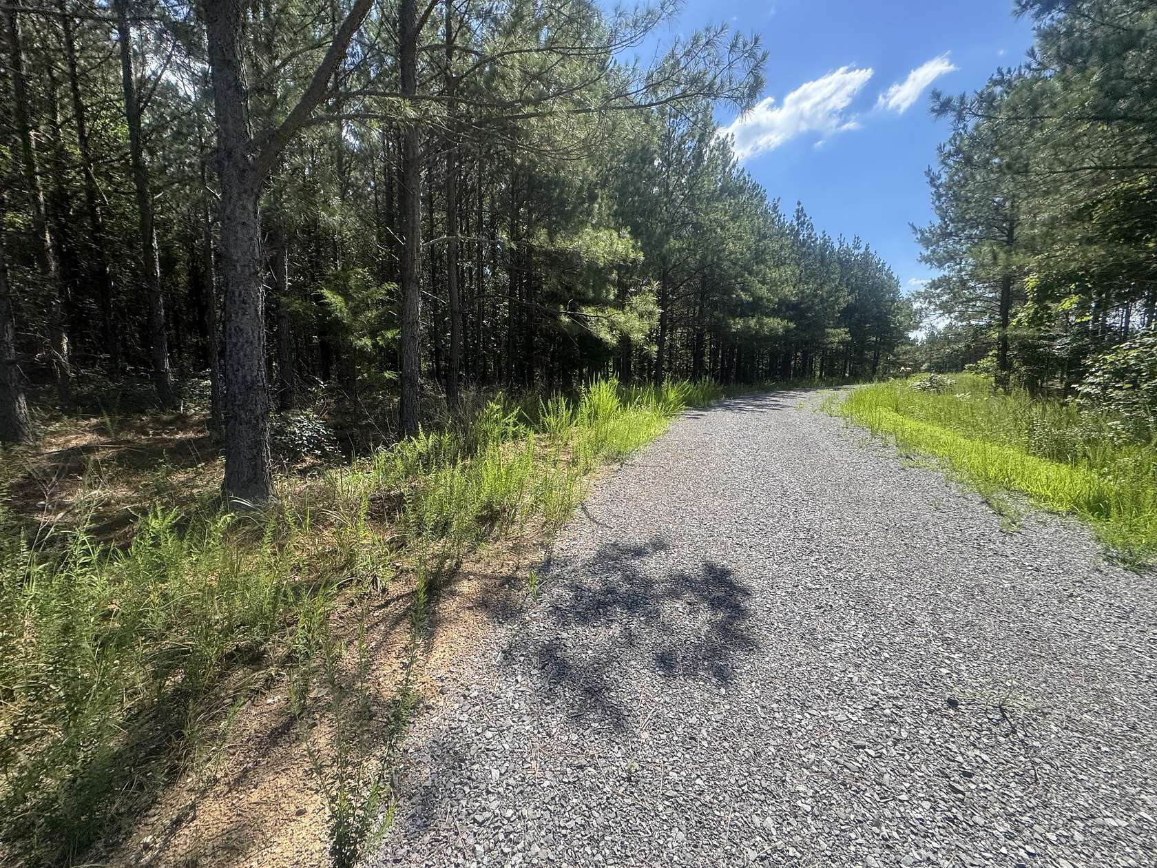 16.9 Acres of Land for Sale in Dover, Tennessee
