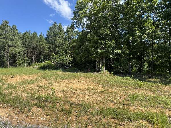 9.5 Acres of Residential Land for Sale in Dover, Tennessee