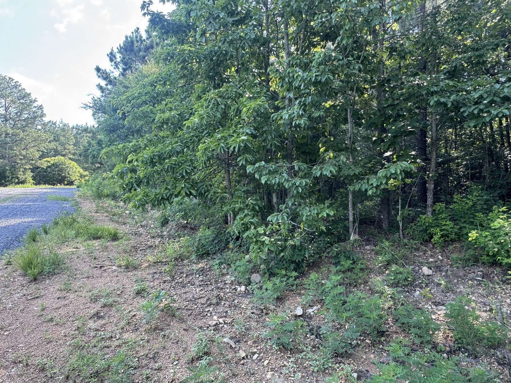 11 Acres of Land for Sale in Dover, Tennessee