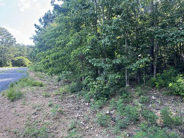 11 Acres of Land for Sale in Dover, Tennessee