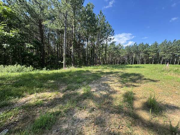 10.3 Acres of Land for Sale in Dover, Tennessee