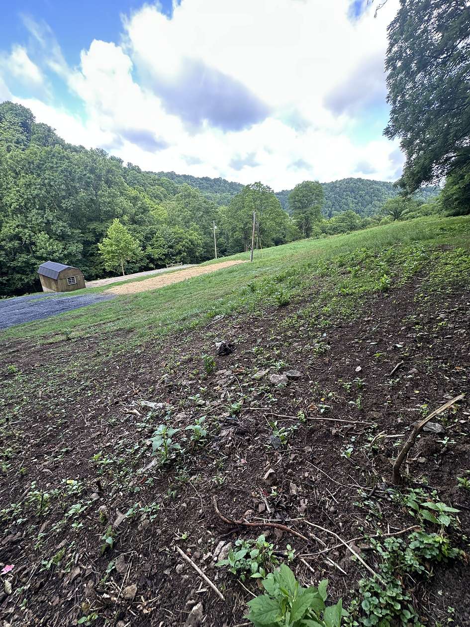 5.64 Acres of Residential Land for Sale in Pleasant Shade, Tennessee