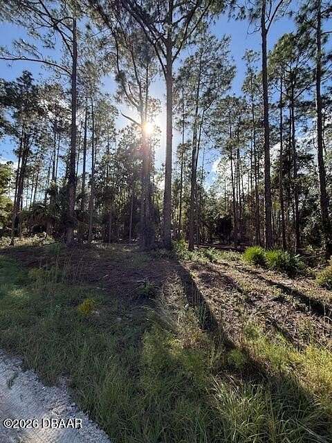 1 Acre of Residential Land for Sale in Georgetown, Florida