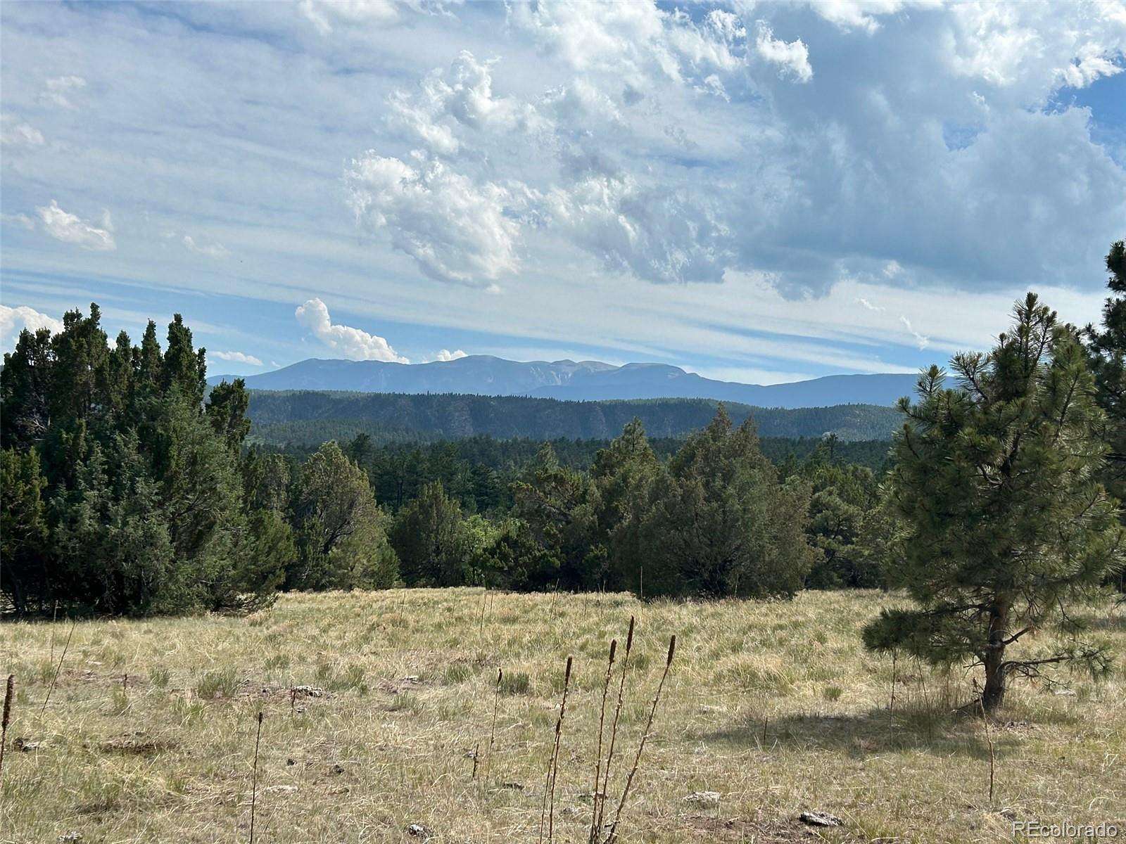40.1 Acres of Recreational & Residential Land for Sale in Beulah, Colorado