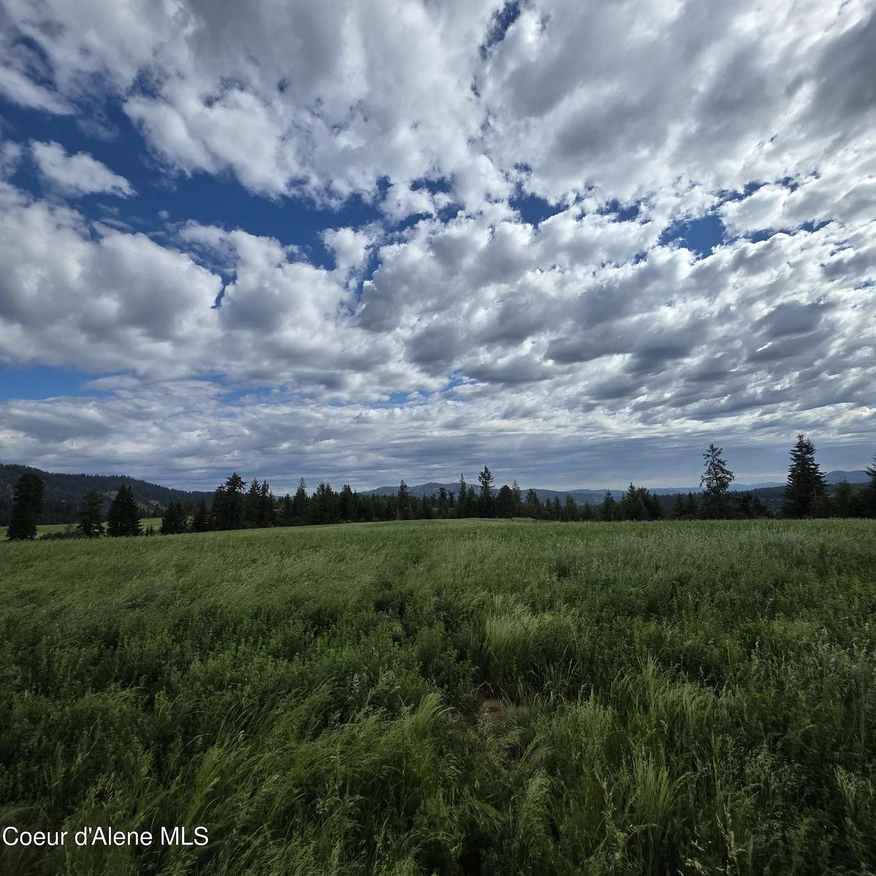 19.8 Acres of Land for Sale in Harrison, Idaho