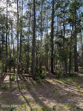 1 Acre of Residential Land for Sale in Georgetown, Florida