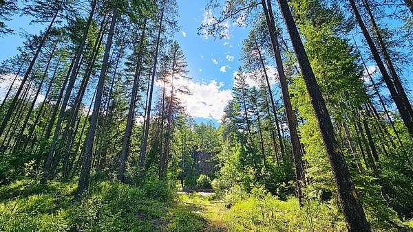 20 Acres of Recreational & Residential Land for Sale in Colville, Washington