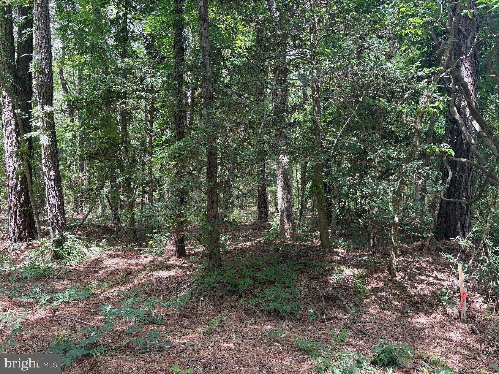 0.1 Acres of Residential Land for Sale in Hague, Virginia