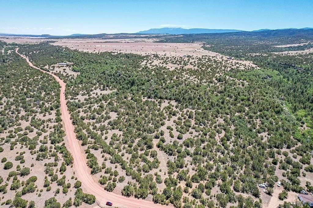 40 Acres of Land for Sale in Beulah, Colorado