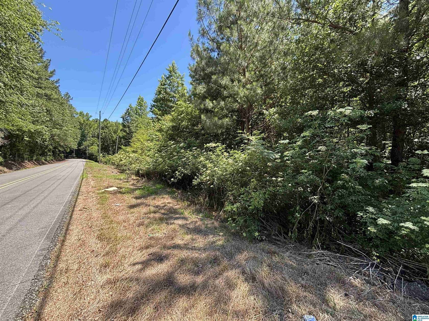 13 Acres of Land for Sale in Pell City, Alabama