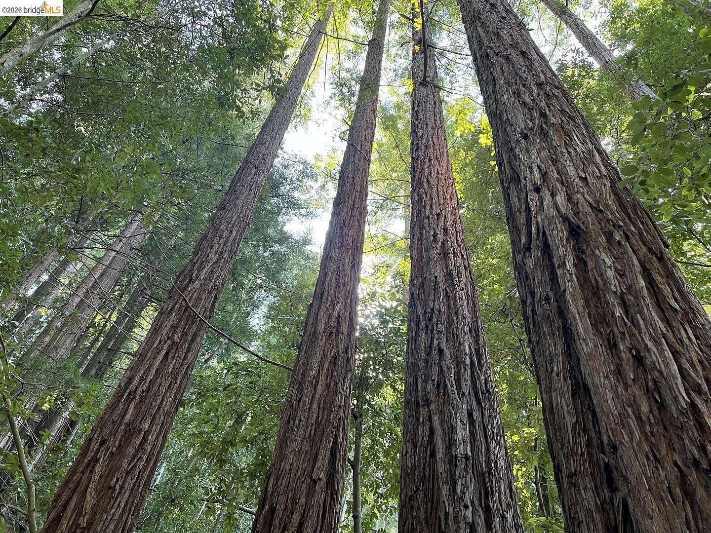 0.88 Acres of Land for Sale in Scotts Valley, California