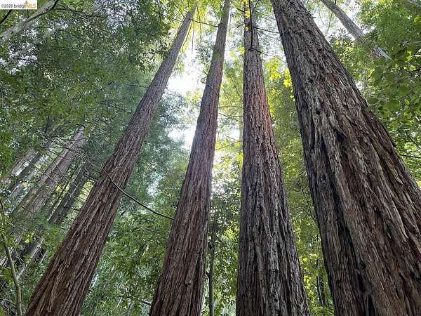 0.88 Acres of Land for Sale in Scotts Valley, California