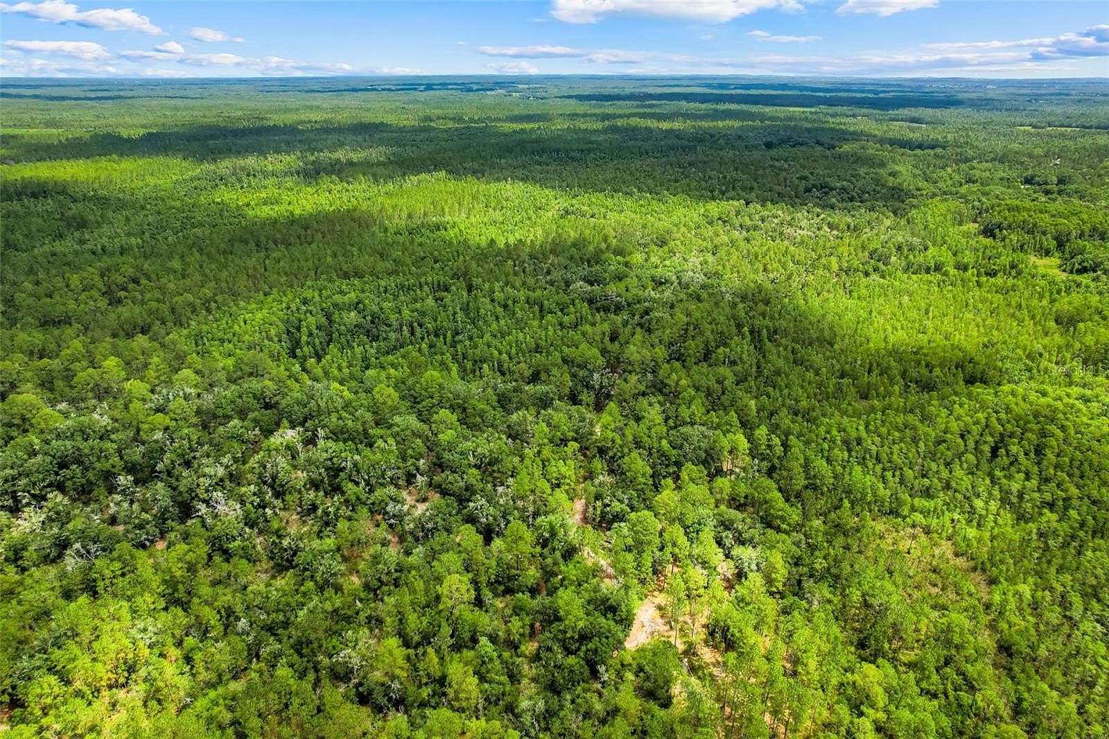 6.64 Acres of Residential Land for Sale in Clermont, Florida