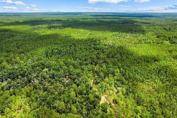 6.64 Acres of Residential Land for Sale in Clermont, Florida