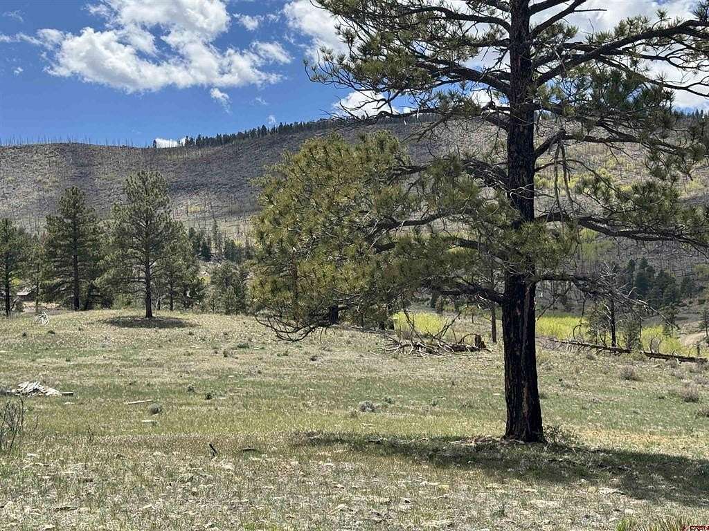 20 Acres of Recreational & Residential Land for Sale in South Fork, Colorado