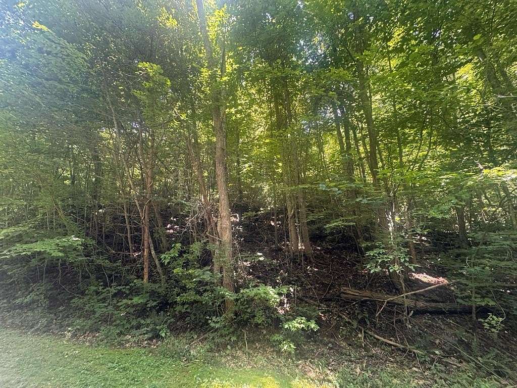 2.33 Acres of Residential Land for Sale in Blairsville, Georgia