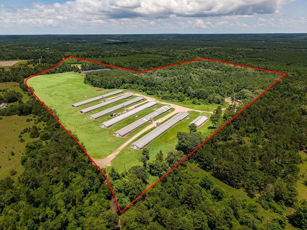 77.6 Acres of Land for Sale in San Augustine, Texas