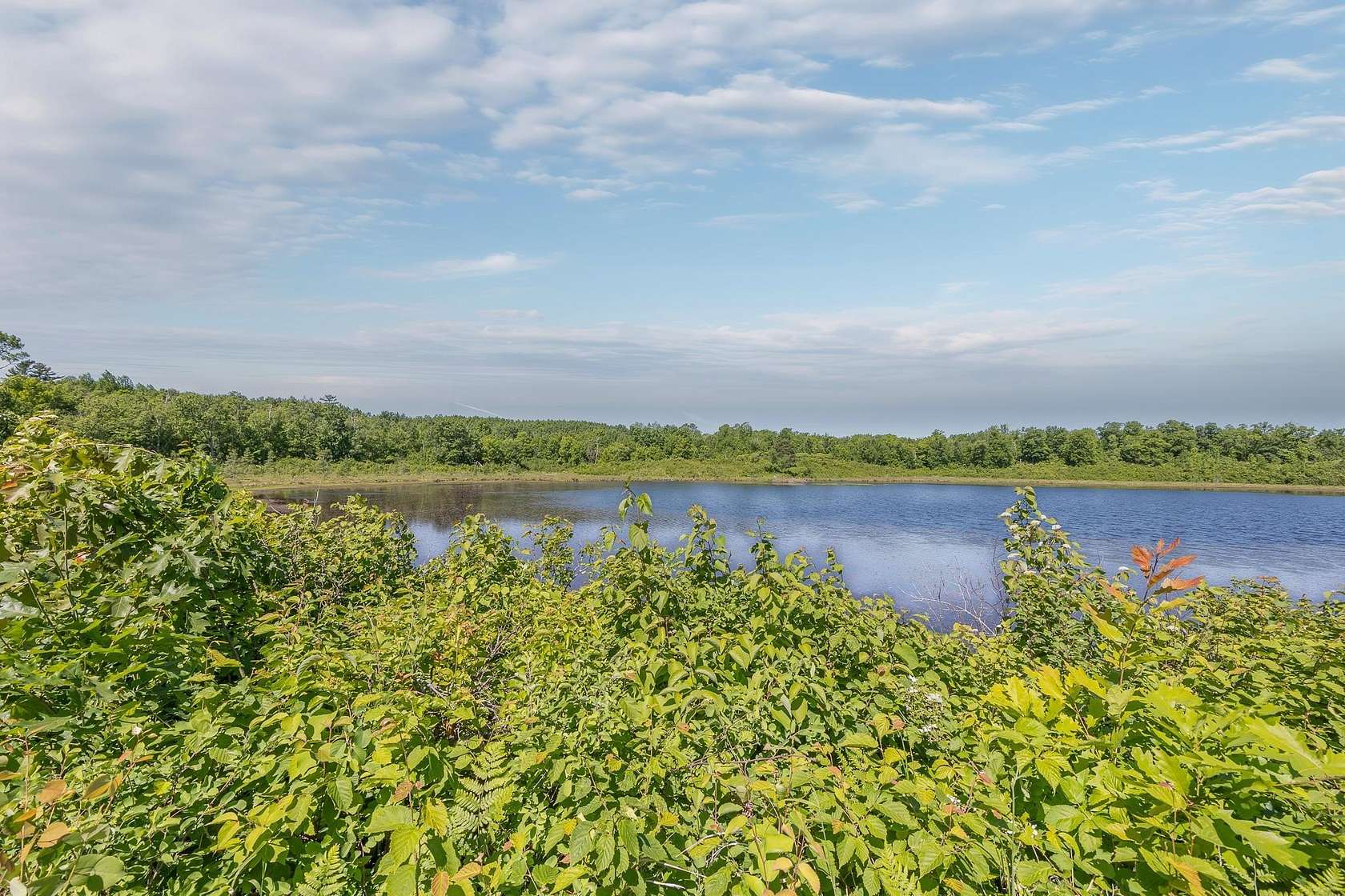 6.6 Acres of Land for Sale in Hackensack, Minnesota