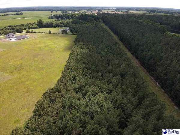 7 Acres of Residential Land for Sale in Little Rock, South Carolina