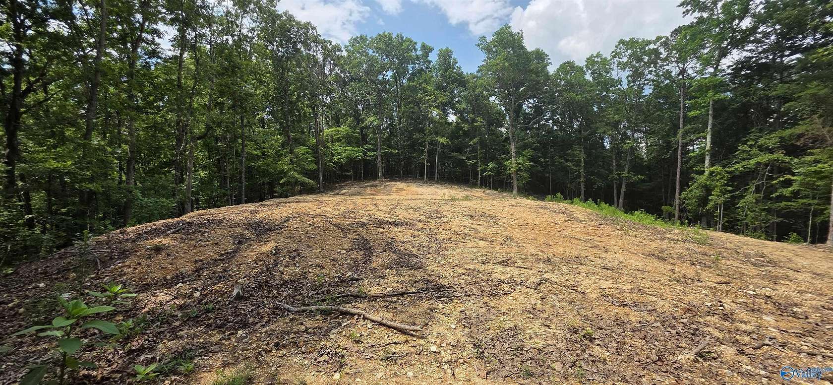3 Acres of Residential Land for Sale in Valley Head, Alabama