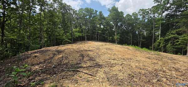 3 Acres of Residential Land for Sale in Valley Head, Alabama