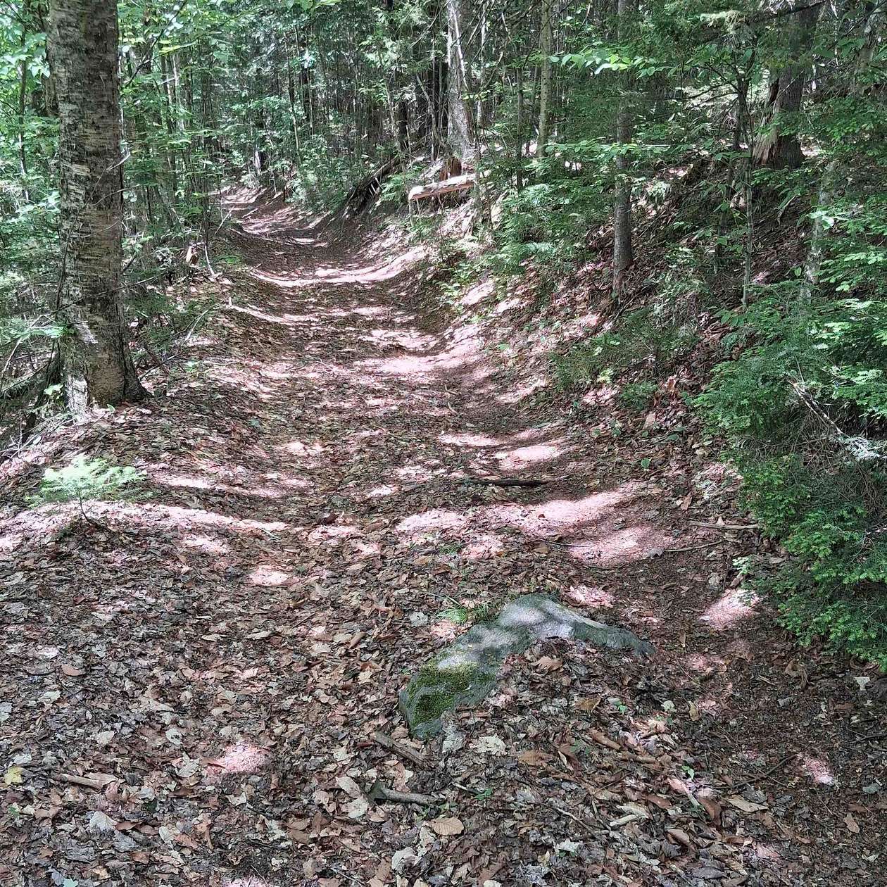 47 Acres of Recreational & Residential Land for Sale in Eden, Vermont