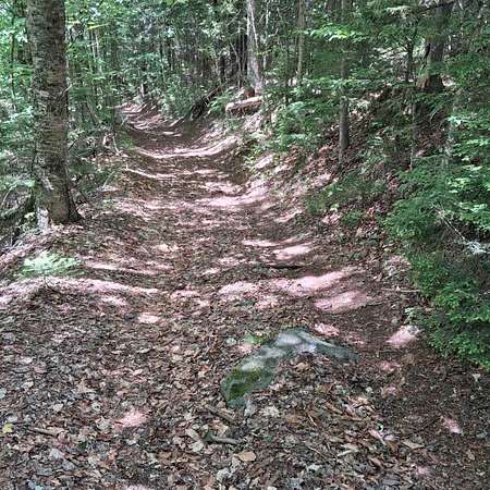 47 Acres of Recreational & Residential Land for Sale in Eden, Vermont