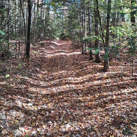 47 Acres of Recreational & Residential Land for Sale in Eden, Vermont