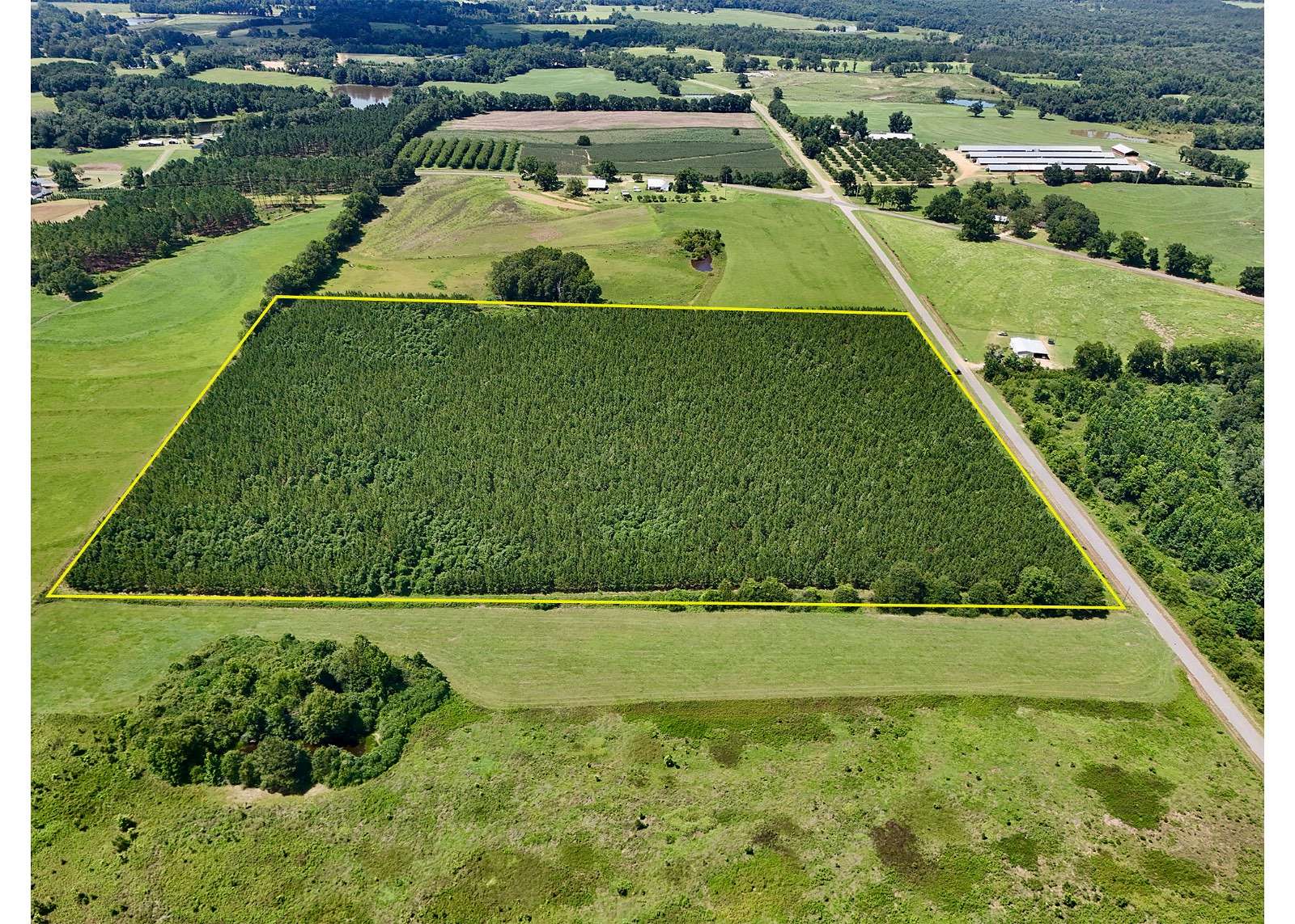 27 Acres of Recreational & Residential Land for Sale in Clayton, Alabama