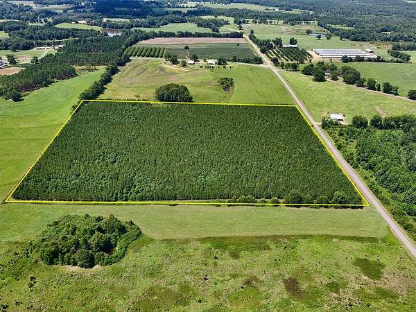 27 Acres of Recreational & Residential Land for Sale in Clayton, Alabama