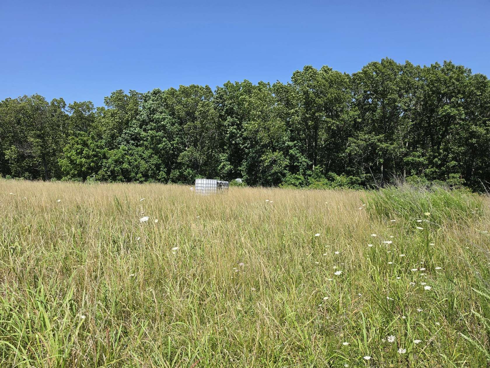 5.2 Acres of Residential Land for Sale in Fordland, Missouri