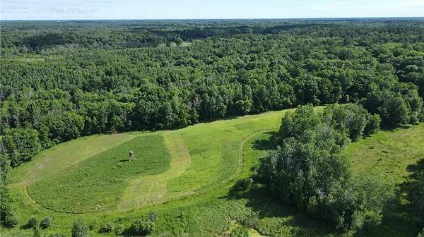82.2 Acres of Recreational & Residential Land for Sale in Stanchfield, Minnesota