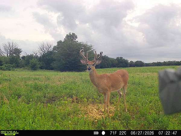 144 Acres of Land for Sale in Bronson, Kansas