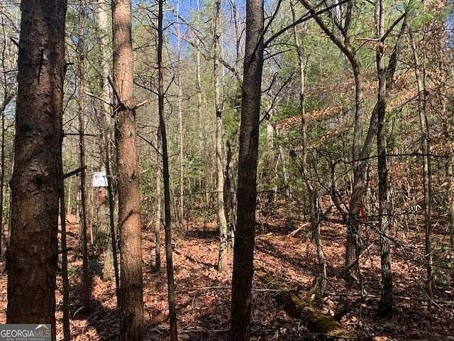 5.17 Acres of Land for Sale in Ellijay, Georgia