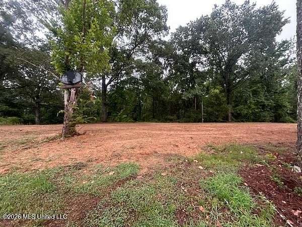 1 Acre of Land for Sale in Sallis, Mississippi