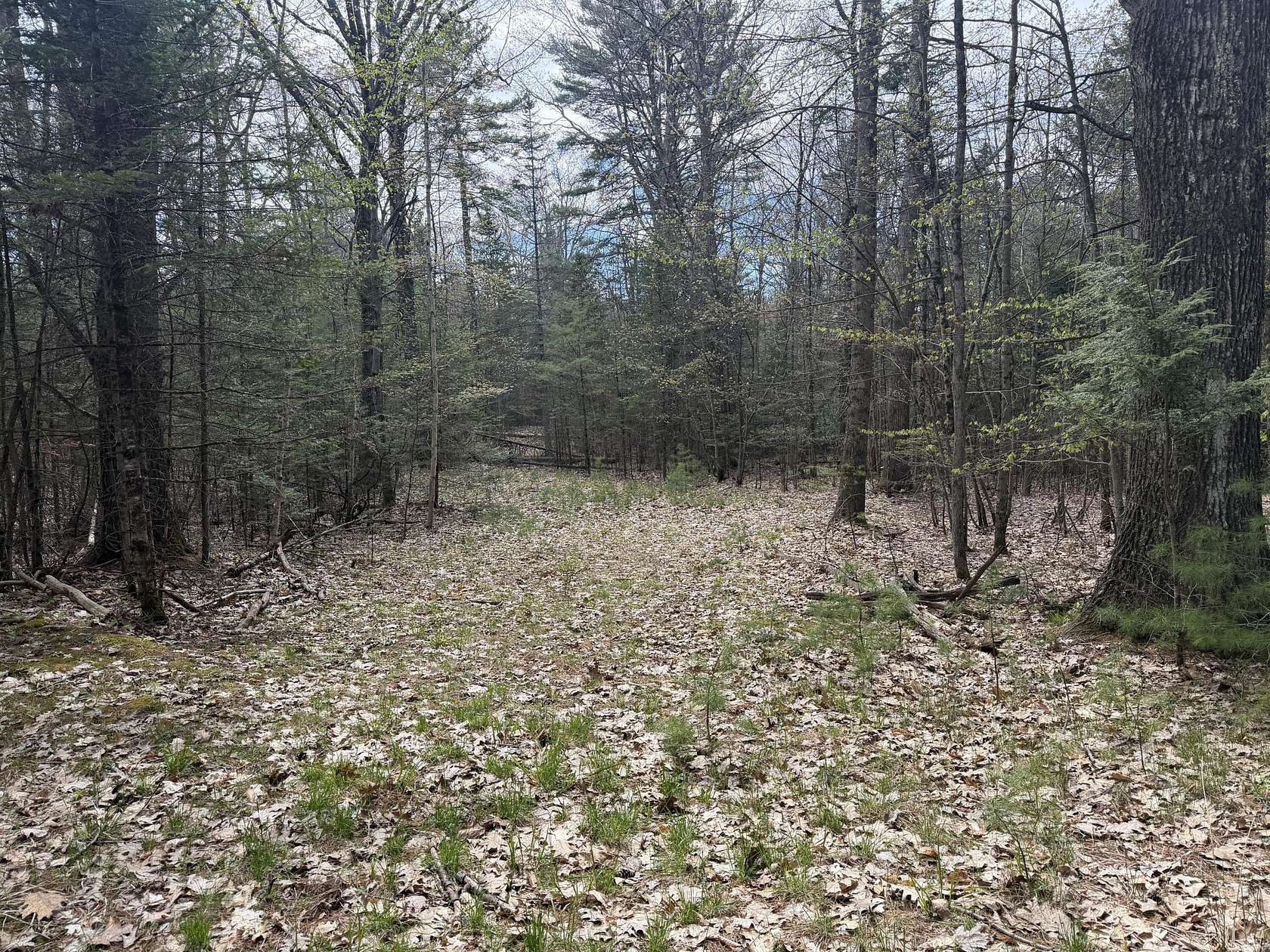 30 Acres of Recreational & Residential Land for Sale in Pownal Town, Maine