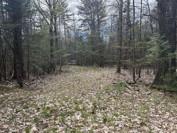 30 Acres of Recreational & Residential Land for Sale in Pownal Town, Maine