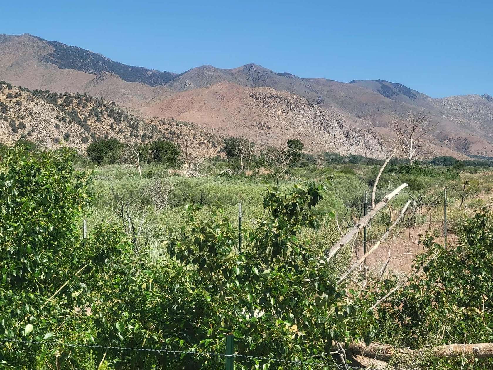 5.29 Acres of Residential Land for Sale in Coleville, California