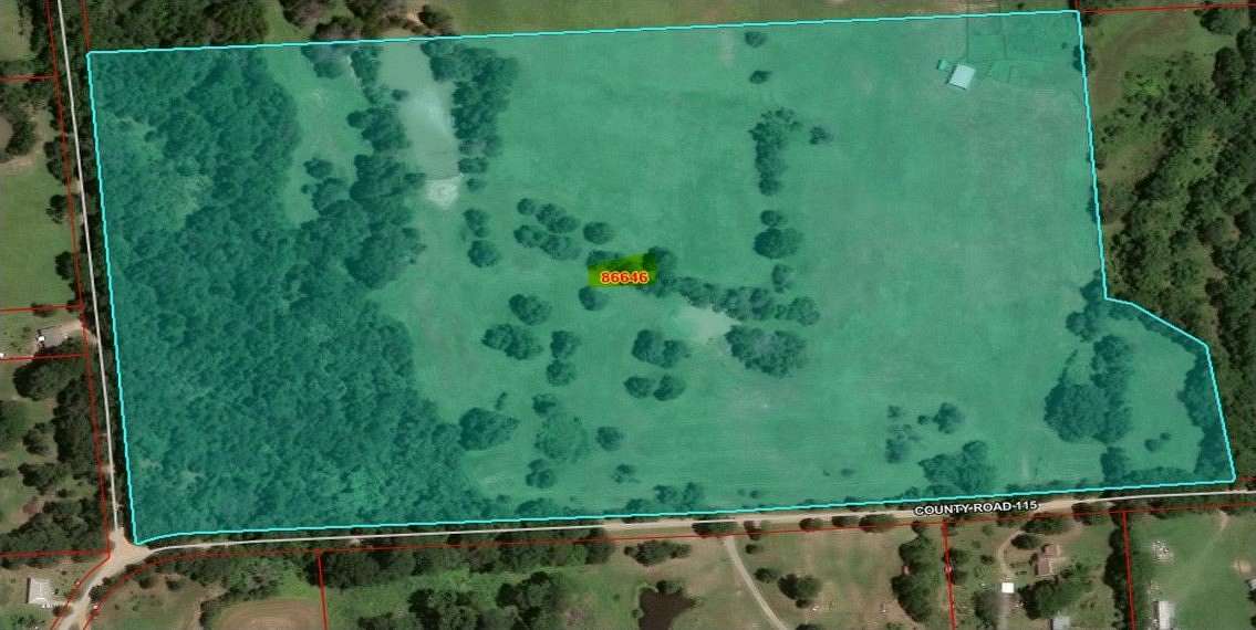 157 Acres of Land for Sale in Ravenna, Texas