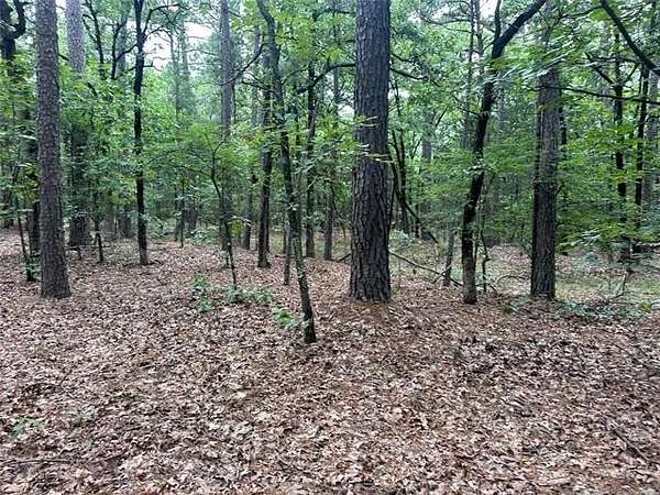 40 Acres of Recreational Land for Sale in Moyers, Oklahoma