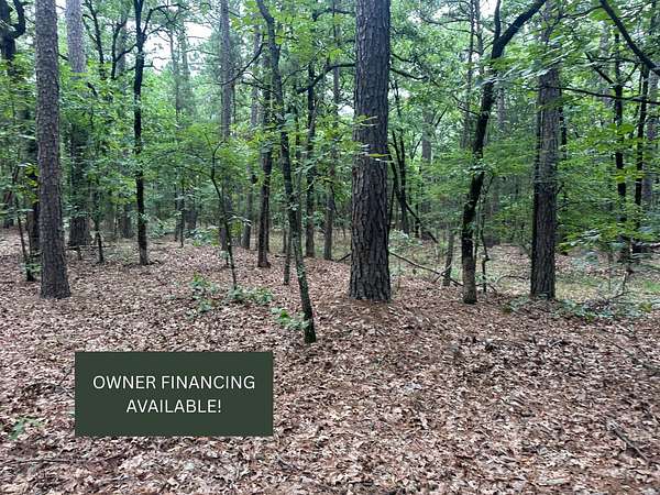 40 Acres of Land for Sale in Moyers, Oklahoma