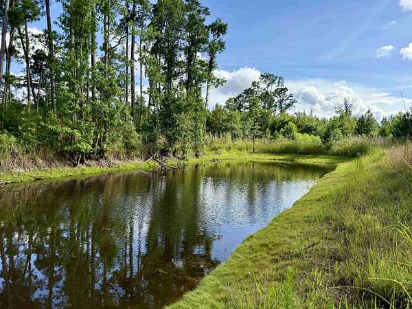 85 Acres of Land for Sale in Johnsonville, South Carolina