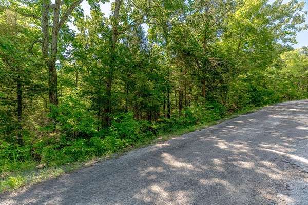 0.33 Acres of Residential Land for Sale in Cherokee Village, Arkansas