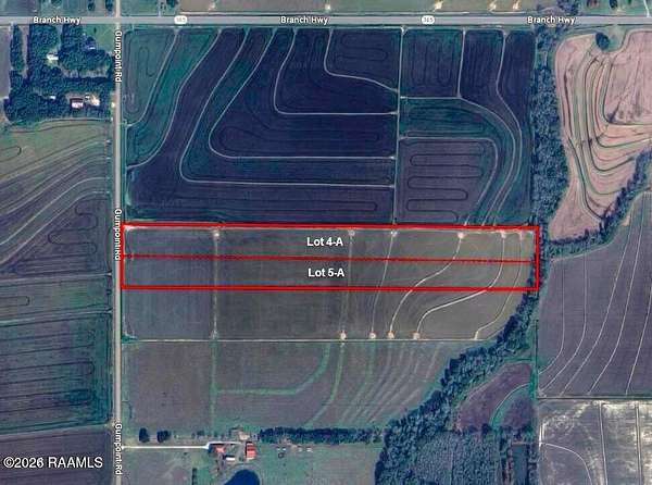 24.4 Acres of Land for Sale in Branch, Louisiana