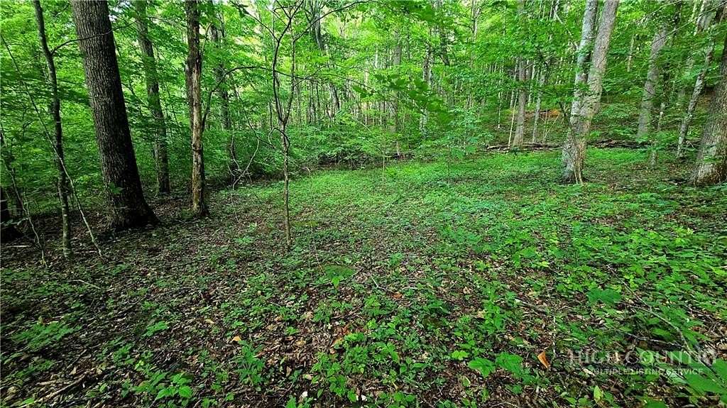 1.63 Acres of Residential Land for Sale in Todd, North Carolina