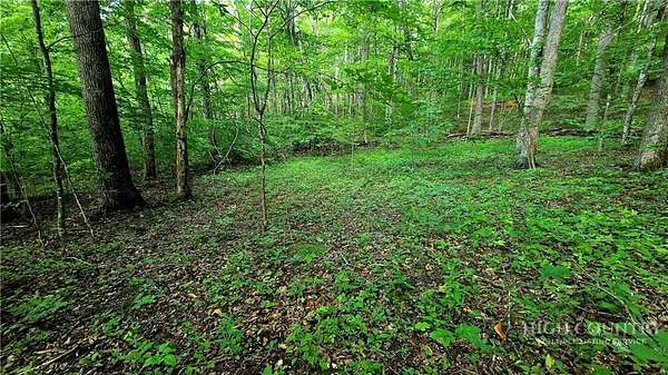 1.63 Acres of Residential Land for Sale in Todd, North Carolina