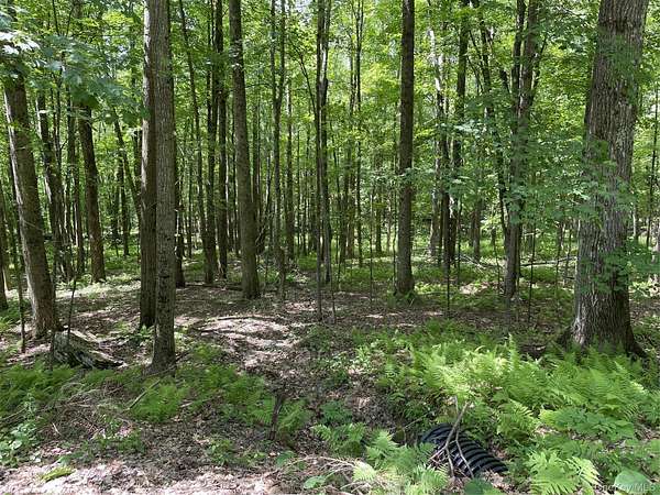 5 Acres of Residential Land for Sale in De Lancey, New York