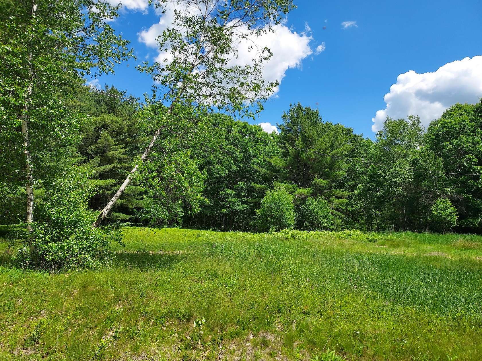 1 Acre of Land for Sale in Deblois, Maine