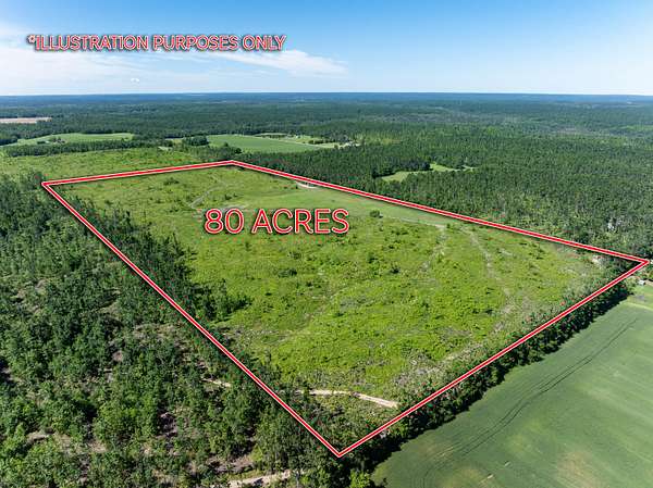 80 Acres of Land for Sale in Johannesburg, Michigan