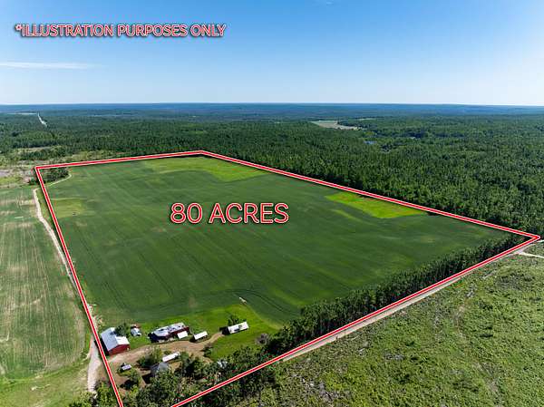 80 Acres of Land for Sale in Johannesburg, Michigan